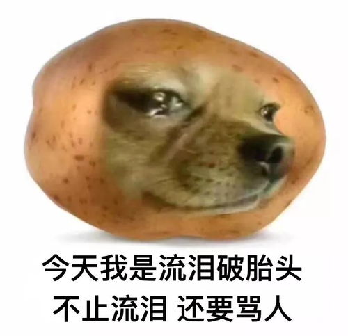 搞笑的表情包文案动态骂人