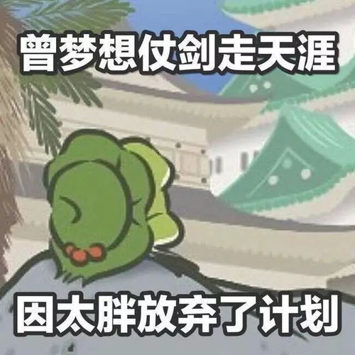呱儿子今天我又去旅行喽