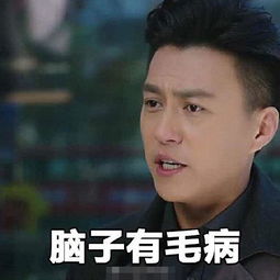 我的前半生贺函靳东带字搞笑表情包大全