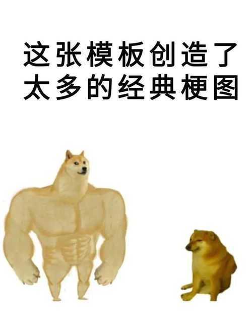 废柴表情包小狗去世,治愈梗图永存