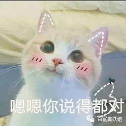 b站学霸网红靠一张脸赚百万,还让50w人酸她的爱情