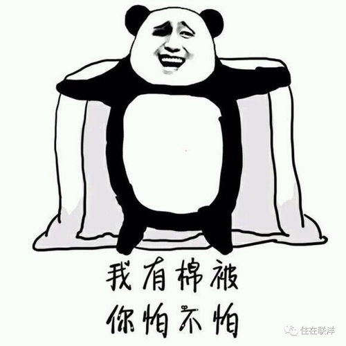 双十一那天要是房价也打五折就好了