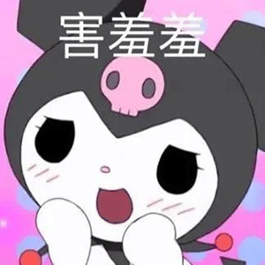 sanrio三丽鸥丨kuromi库洛米系列四