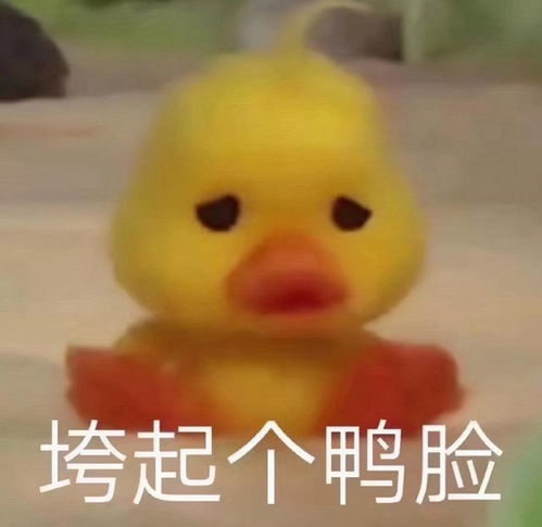 鸭鸭表情包先走一步