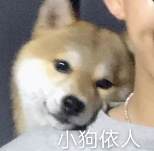 丰富一下你的表情包7.4
