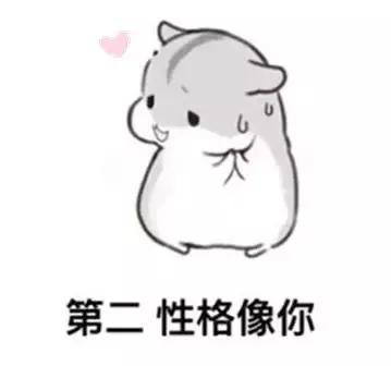 撩妹表情包梦想和我,你选哪个