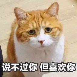跟男朋友撒娇表情包给你布置作业,睡前想我