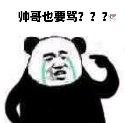 熊猫头表情仙女下凡大概就长你这样吧