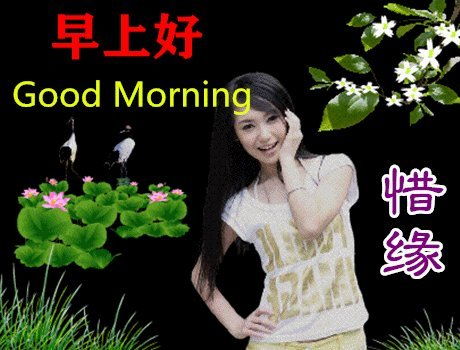 早上好问候语表情美女图片,特别新的早上好问候语暖心句子