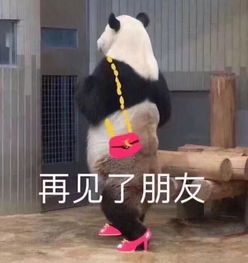 拍照姿势摆不对,上万镜头也白费,是时候用这10个姿势称霸朋友圈了