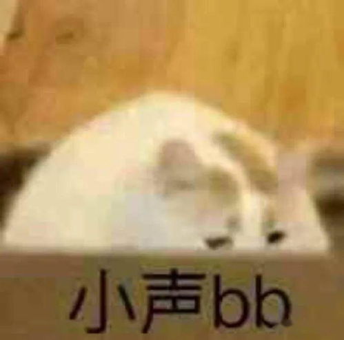 带有目的性去接近的恋爱的不纯粹的...我信你个鬼话连篇