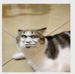 别人在微信里发了一个动态的猫头人脸表情图片,是一个猫头,有好几个的人脸,转一下变一下脸叫什么表情,
