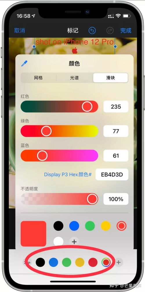 如何直接在照片上添加文字和表情