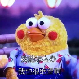 最严交规出台后,松江的驾校引入了一批玩具车