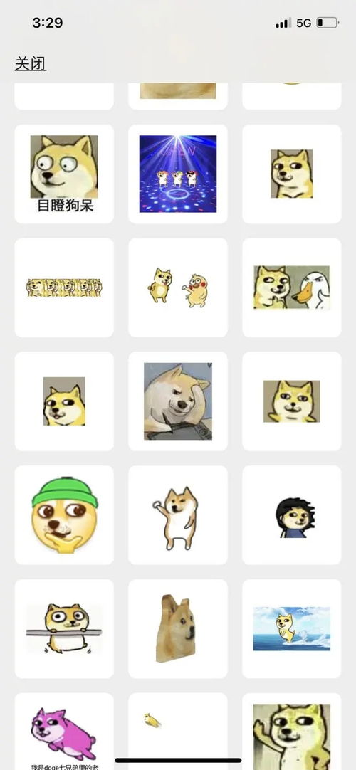 doge表情包原型柴犬去世,网友在微博用的最多的表情包