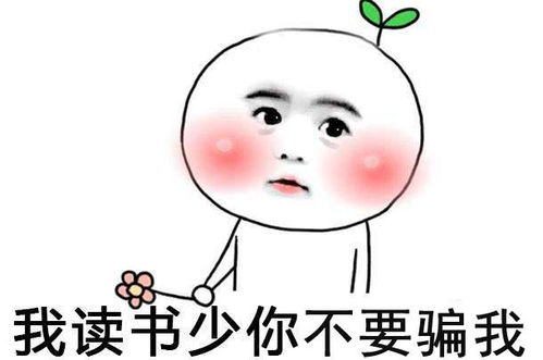 我被威尼斯骗了表情包贡多拉