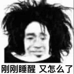 东北话教学只是郎朗颜艺生涯的冰山一角