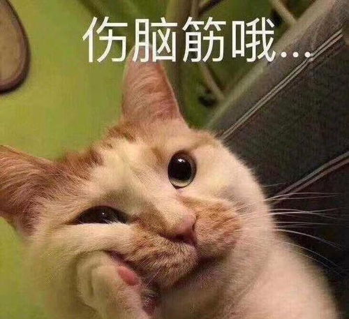 假期剧荒,这几部动漫强烈推荐