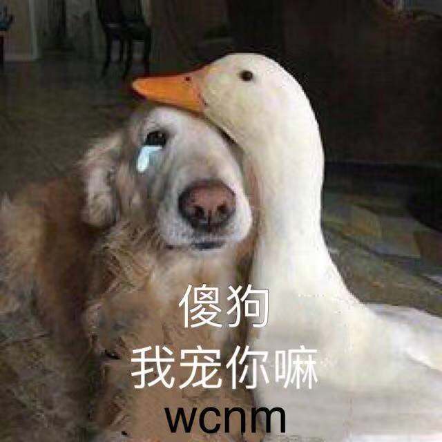 喷饭表情标哈哈哈哈这些图片真滴搞笑有人再更