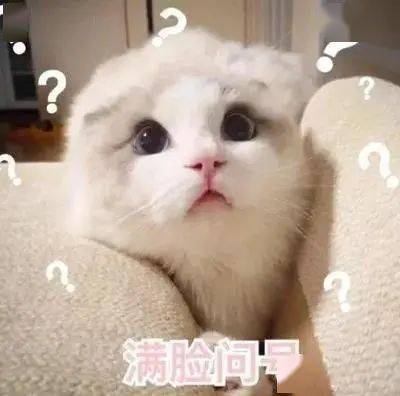 火锅必点菜终极battle成都人都爱吃啥子菜