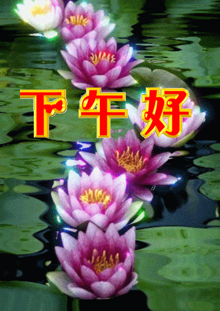 9张特别漂亮的上午好下午好图片动态表情包群聊不打字早晨好问候语祝福语图片带字大全