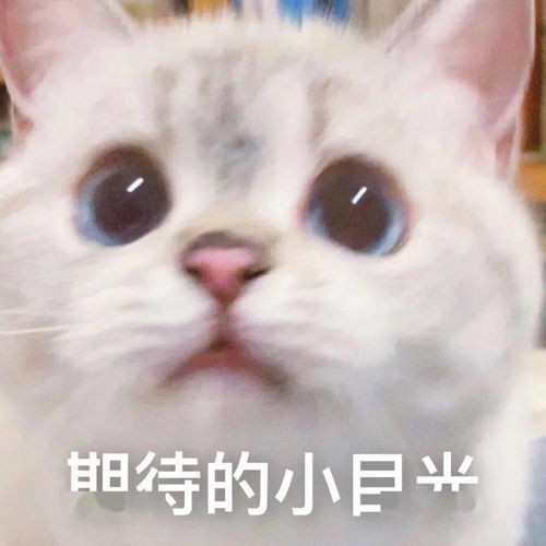 表情包图片快删除,脑子里有画面了