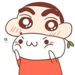 奥迪a5coupe麋鹿测试紧急变线