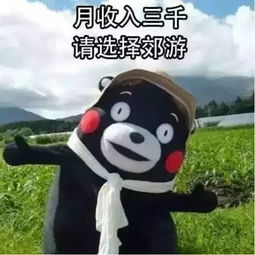 紧急通知红安人你的清明节假期要泡汤了......