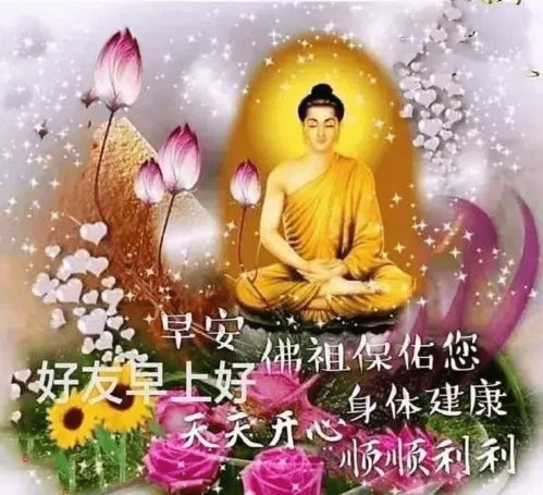 过去的,别再遗憾未来的,无须忧虑现在的,加倍珍惜早安生活