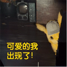 小猫动图表情包gif生气