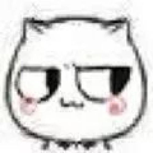 猥琐猫表情系列,猥琐中带点萌