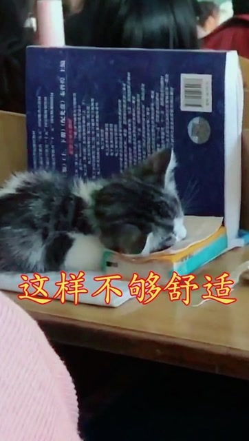 枕头都配好了,为啥不给盖被子,这样不够舒适