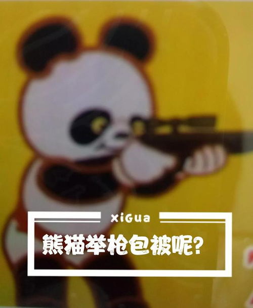 熊猫举枪包被去了哪那是亲妈为亲生儿子准备的第一件见面礼物