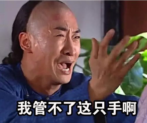 过来躺下表情包尔康