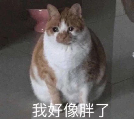请问可以用第二学士学位申请德国的硕士吗
