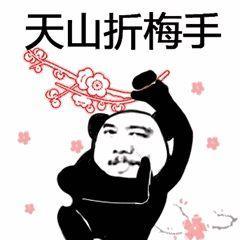 熊猫头表情包我将毕生的武功全都传给你