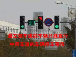 各种路口的信号灯图解
