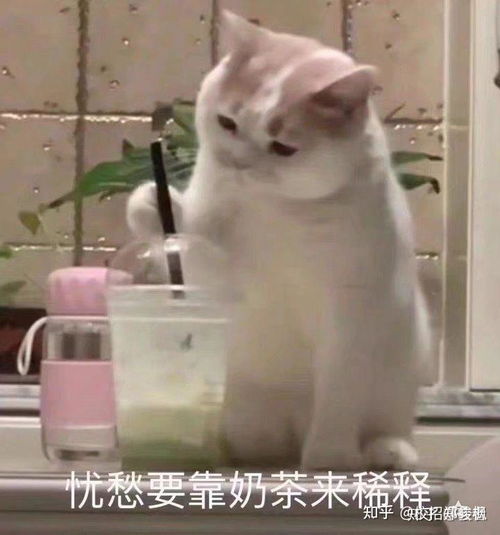 请问一下,boss直聘上的工作可信吗
