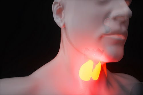 2024甲状腺癌治愈后买保险怎么买还能报销吗能买哪些