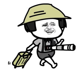 精神抖擞表情包熊猫眼家务