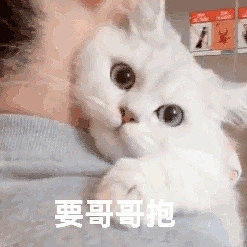 可爱的要抱抱表情包合集