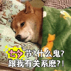 起床了表情包gif起床