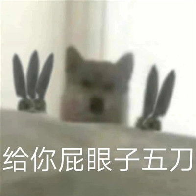 给你屁眼子一刀表情包合集最新版很猥琐的聊天表情