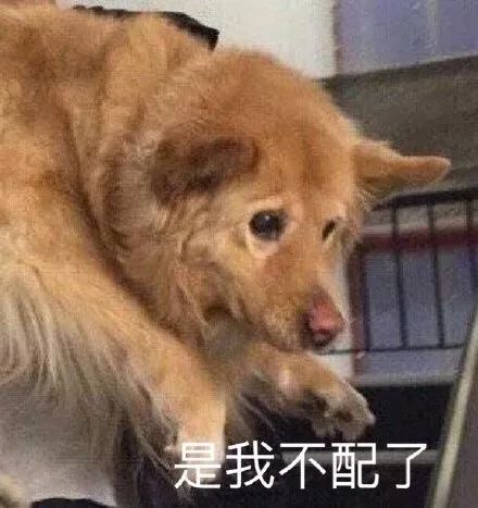 网课学习行为大赏一人学习,全家观看