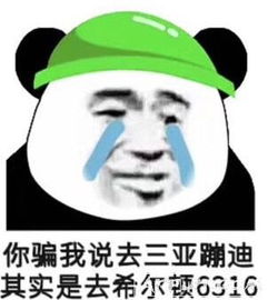 6316表情三亚6316表情包高清无水印qq表情arp绿色软件联盟