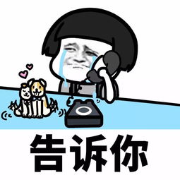 开启聊天话题的表情包追星