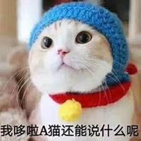 搞笑爱情表情包微信头像图片大全
