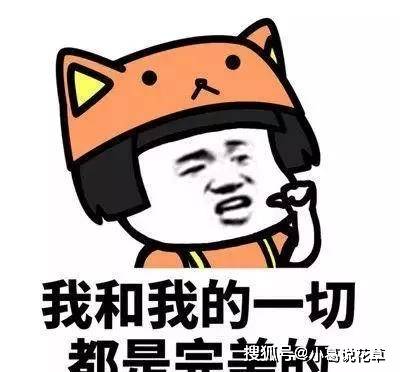 幽默段子我们坐在公园里的椅子上,突然我感到一阵震动