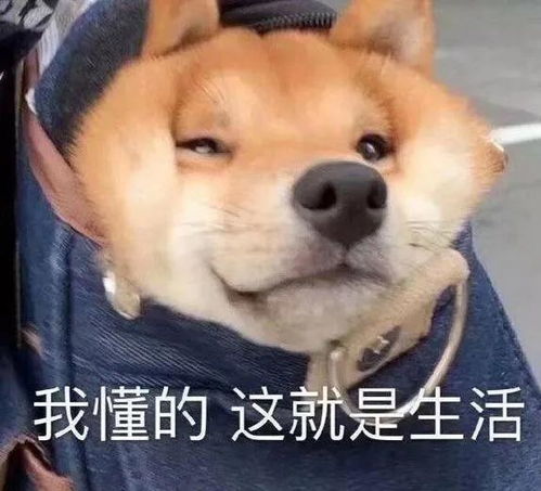 吃软饭爹味十足贬低女性,他俩到底干了啥
