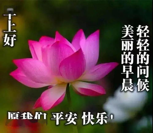 唯美阳光的早安问候祝福表情包图片,正能量早上好问候祝福语图片大全
